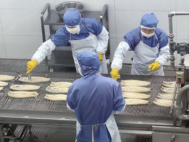 揭秘食品车间的净化秘密:营造洁净生产环境的重要性